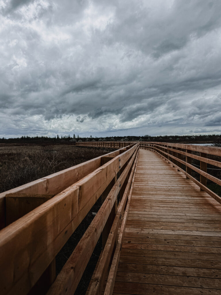 Wooden boardwalk winding through wetlands at Parc de l'Aboiteau in Cap-Pelé New Brunswick leading toward the beach